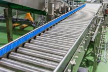 Woodsage Straight Conveyer Rollers